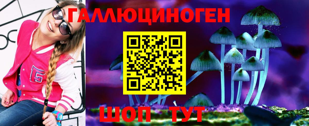 Псилоцибиновые грибы мицелий Осинники